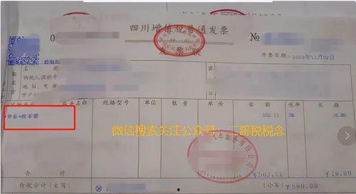 发票分类编码在线视频